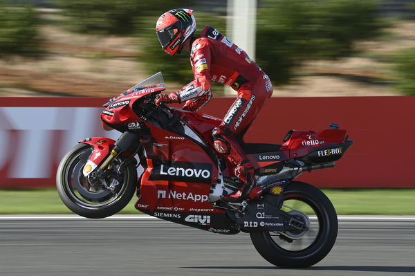 Francesco Bagnaia, 2022 Valencian Grand Prix. - Gold and Goose