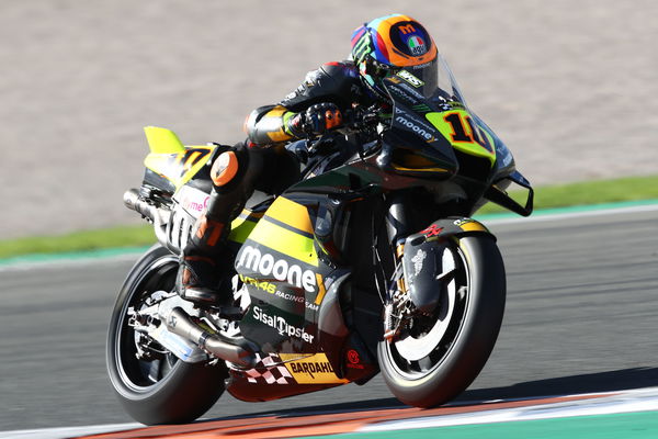 Luca Marini, 2022 Valencian Grand Prix. - Gold and Goose