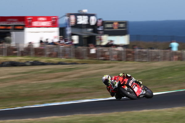 Alvaro Bautista, 2022 Australian WorldSBK. - Gold and Goose