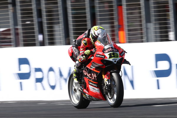 Alvaro Bautista, 2022 Australian WorldSBK. - Gold and Goose