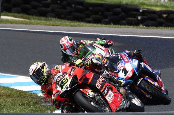 Alvaro Bautista, Toprak Razgatlioglu, Jonathan Rea, 2022 Australian WorldSBK. - Gold and Goose