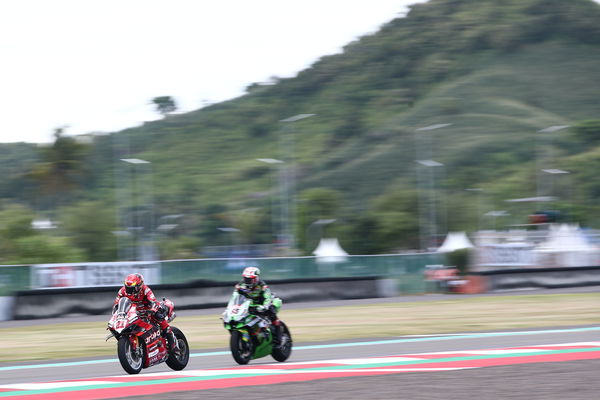 Jonathan Rea, Michael Ruben Rinaldi, 2023 Indonesian WorldSBK. - Gold and Goose