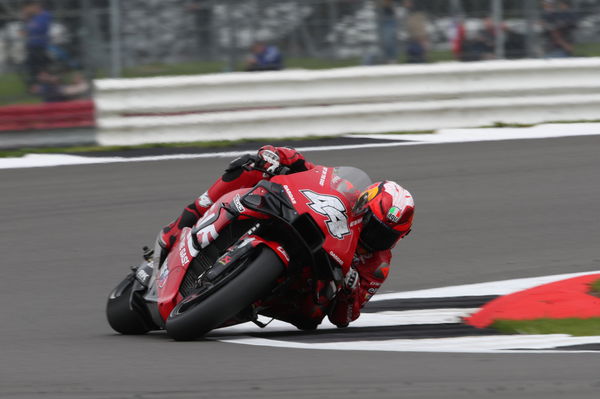 Pol Espargaro, 2023 MotoGP British Grand Prix. - Gold and Goose