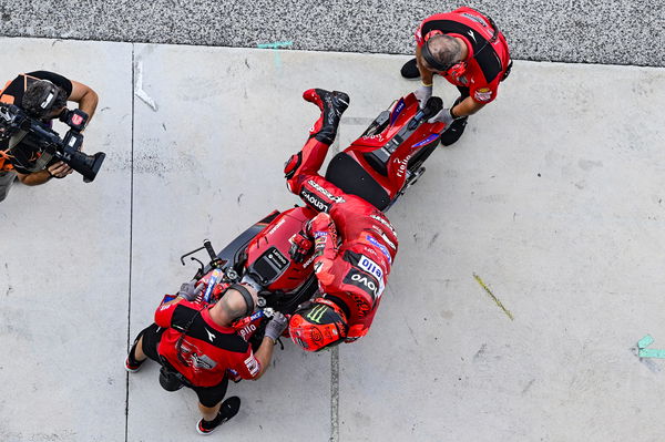 Francesco Bagnaia, 2023 MotoGP San Marino Grand Prix. - Gold and Goose