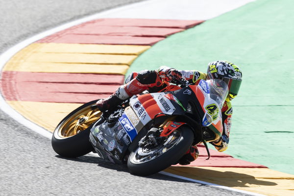 Axel Bassani, 2023 Aragon WorldSBK. - Gold and Goose