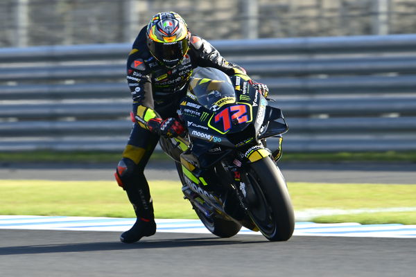 Marco Bezzecchi, 2023 MotoGP Japanese Grand Prix. - Gold and Goose