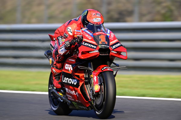 Francesco Bagnaia, 2023 MotoGP Japanese Grand Prix. - Gold and Goose