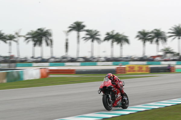 Augusto Fernandez, 2023 Malaysian Grand Prix. - Gold and Goose