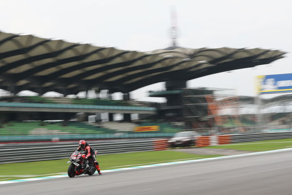 Maverick Vinales, 2023 MotoGP Malaysian Grand Prix. - Gold and Goose