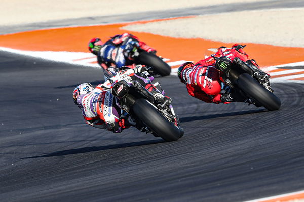 Jorge Martin, Francesco Bagnaia, Fabio Quartararo, 2023 MotoGP Valencia Grand Prix. - Gold and Goose