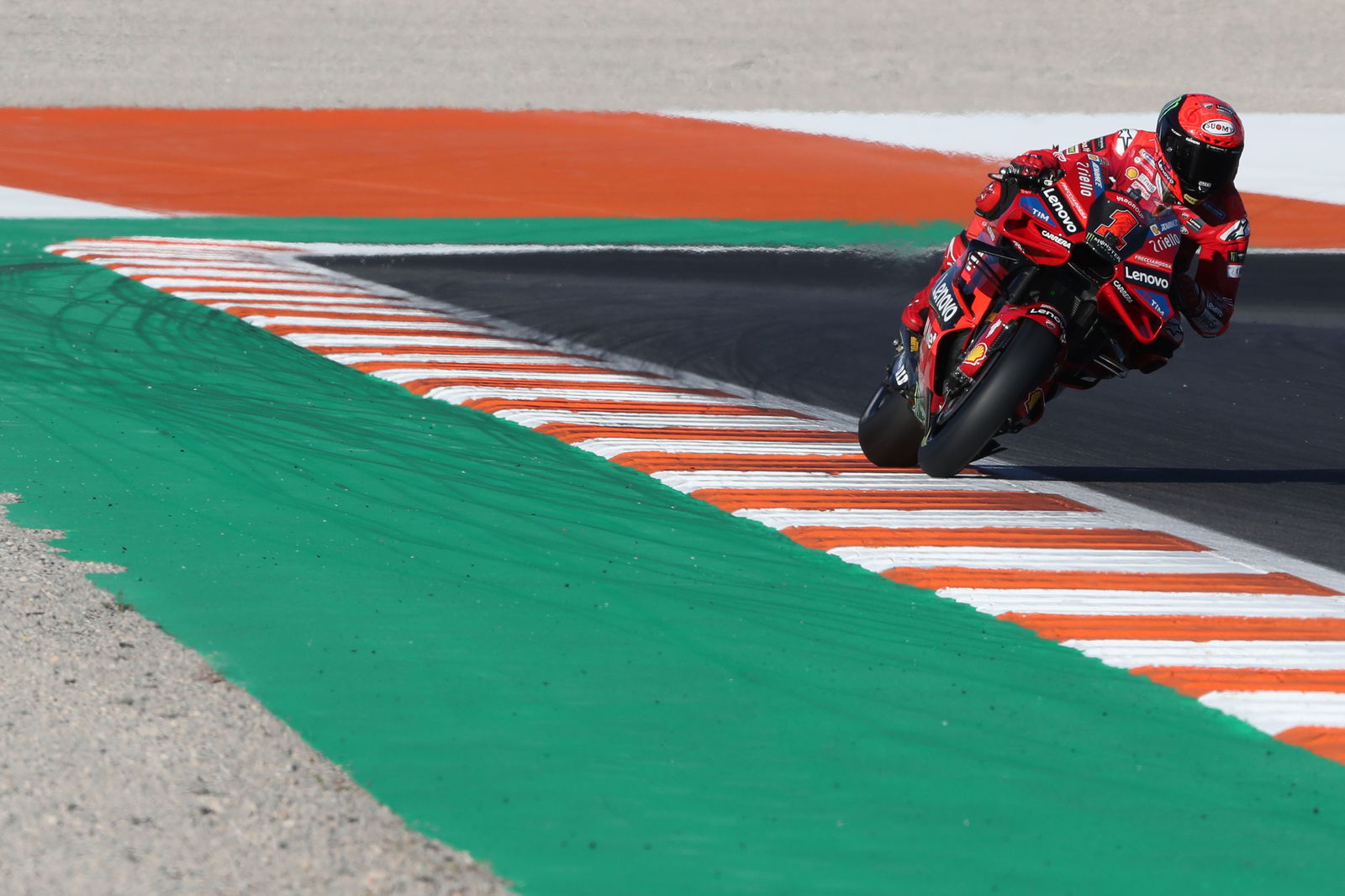 Francesco Bagnaia, 2023 MotoGP Valencia Grand Prix. - Gold and Goose