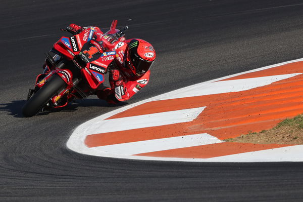 Francesco Bagnaia, 2023 MotoGP Valencia Grand Prix. - Gold and Goose