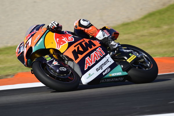 Pedro Acosta, 2023 Moto2 Valencia Grand Prix. - Gold and Goose