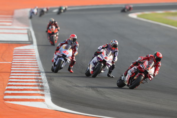 Francesco Bagnaia, Johann Zarco, Fabio Di Giannantonio, 2023 MotoGP Valencia Grand Prix. - Gold and Goose