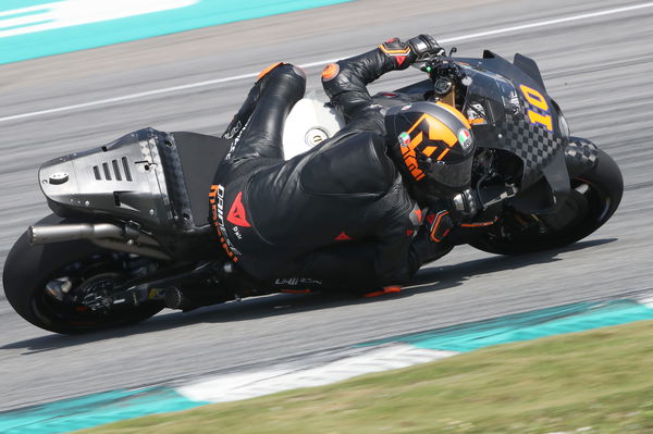 Luca Marini, 2024 MotoGP Sepang Shakedown. - Gold and Goose