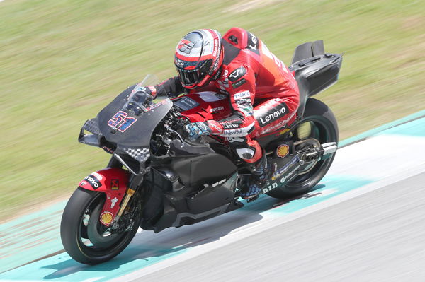 Michele Pirro, 2024 MotoGP Sepang Shakedown. - Gold and Goose