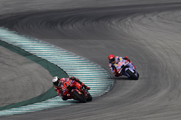 Francesco Bagnaia, Marc Marquez, 2024 MotoGP Sepang Test. - Gold and Goose