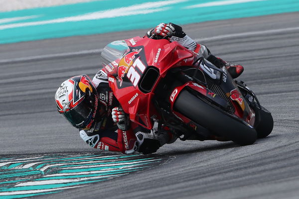 Pedro Acosta, 2024 MotoGP Sepang Test. - Gold and Goose