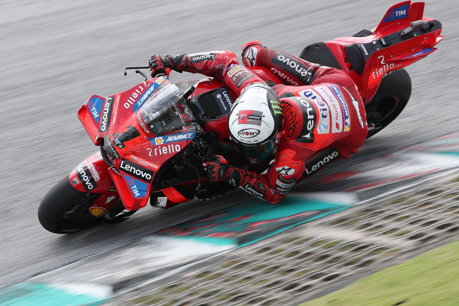 Francesco Bagnaia, 2024 MotoGP Sepang Test. - Gold and Goose