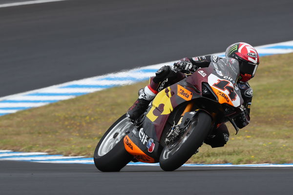 Sam Lowes, 2024 Australian WorldSBK. - Gold and Goose