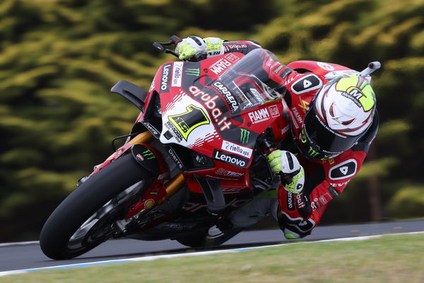 Alvaro Bautista, 2024 Australian WorldSBK. - Gold and Goose