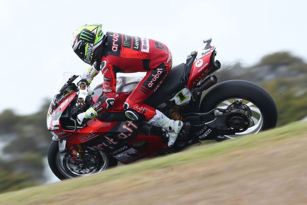 Alvaro Bautista, 2024 Australian WorldSBK. - Gold and Goose