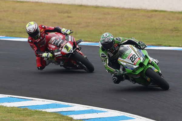 Alex Lowes, Alvaro Bautista, 2024 Australian WorldSBK. - Gold and Goose