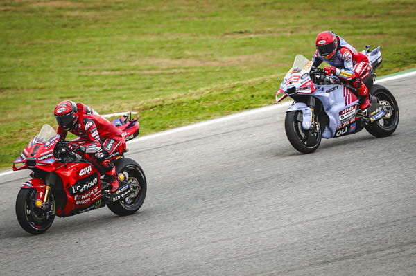 Francesco Bagnaia, Marc Marquez, 2024 MotoGP Portuguese Grand Prix. - Gold and Goose