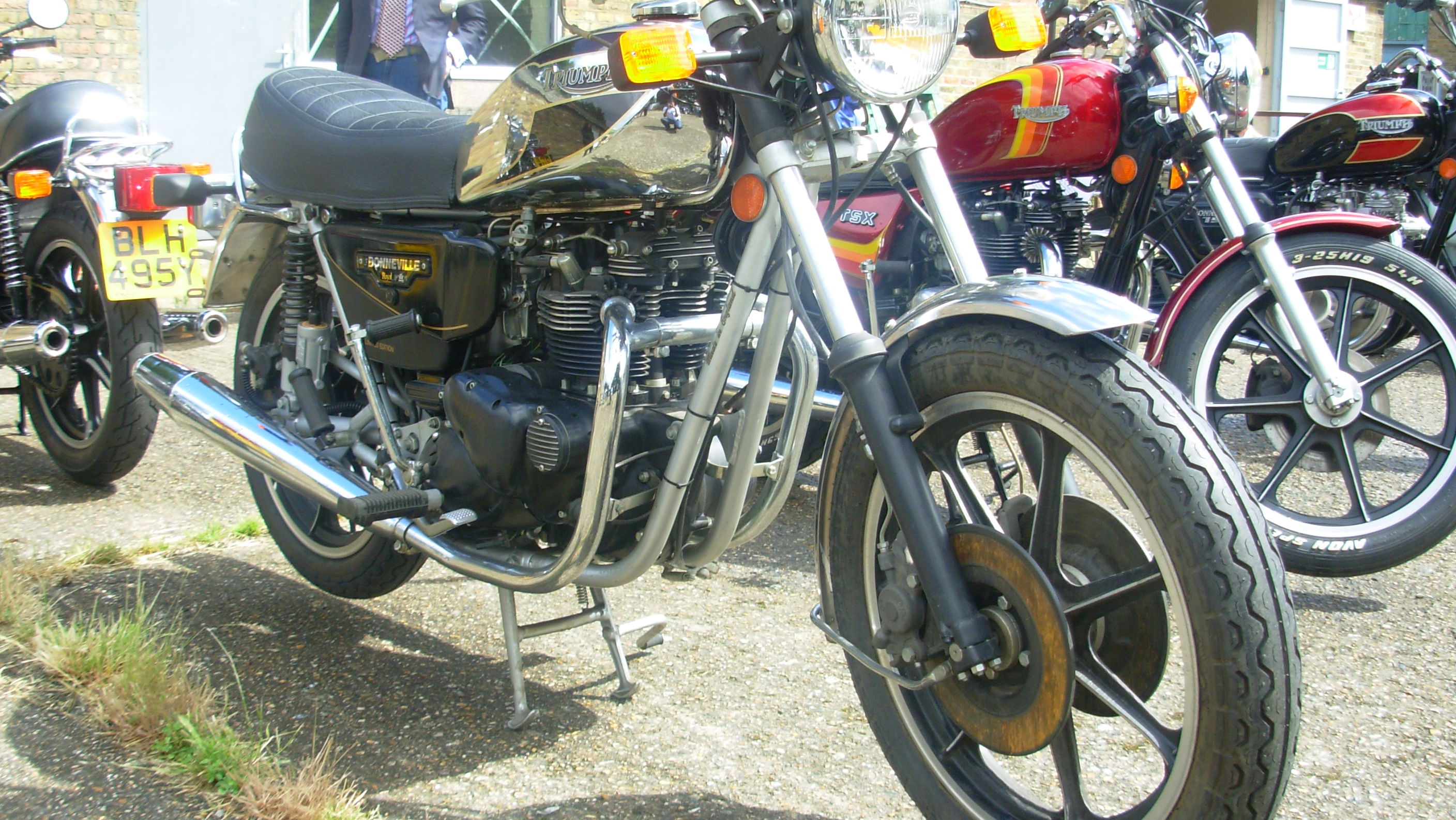 Triumph Royal Wedding Bonneville