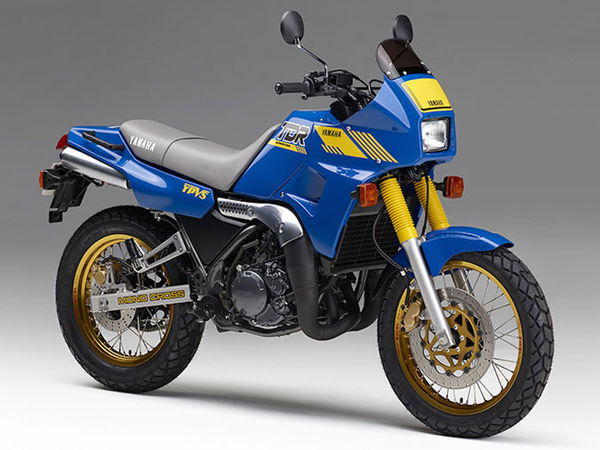 Yamaha TDR250