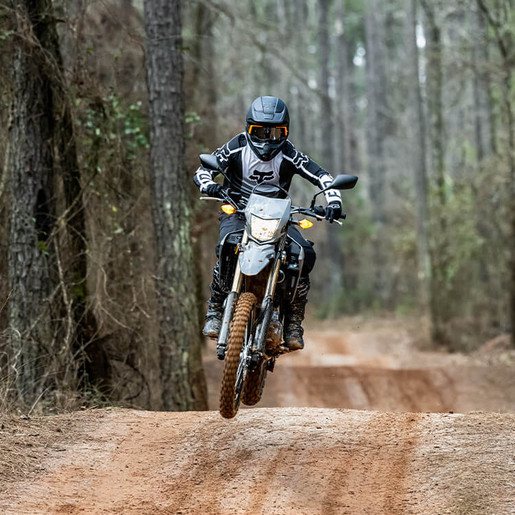 2023 Honda CRF300LS