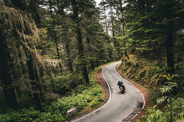 Riding through a forest in Bhutan