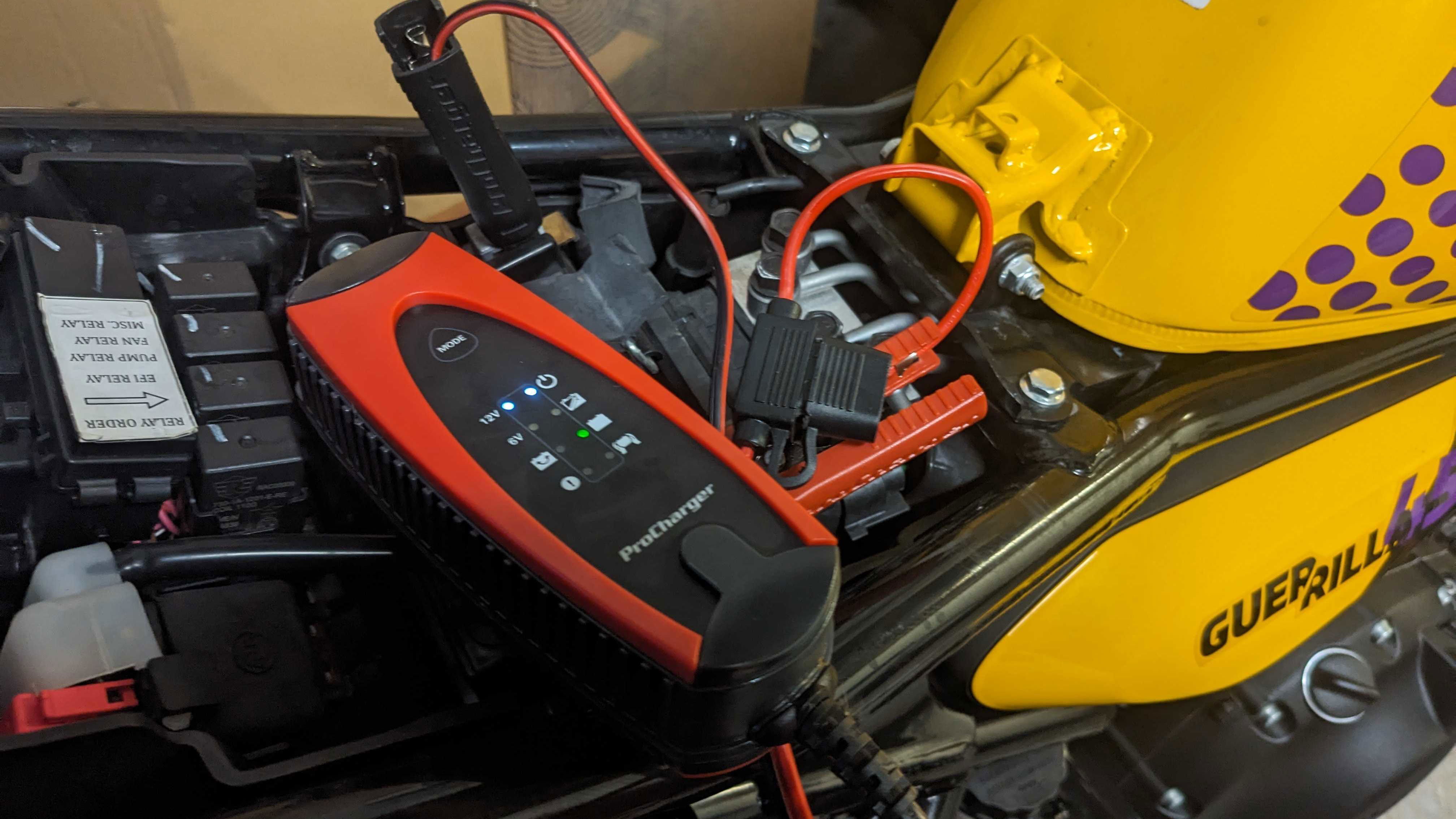 Procharger 1.000 