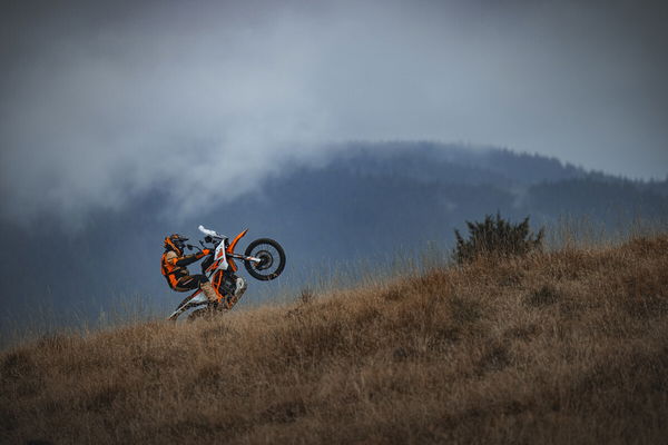 KTM 390 Adventure R pulling a wheelie