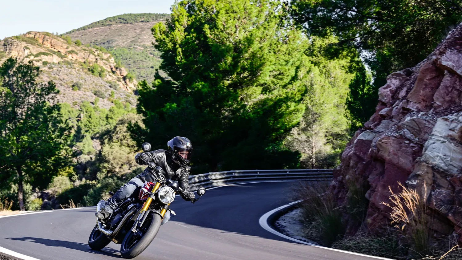 The Triumph Speed 400