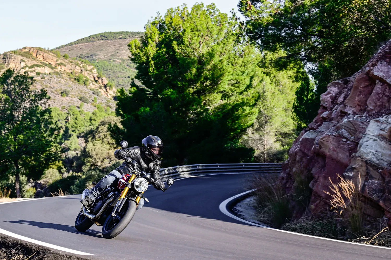 The Triumph Speed 400