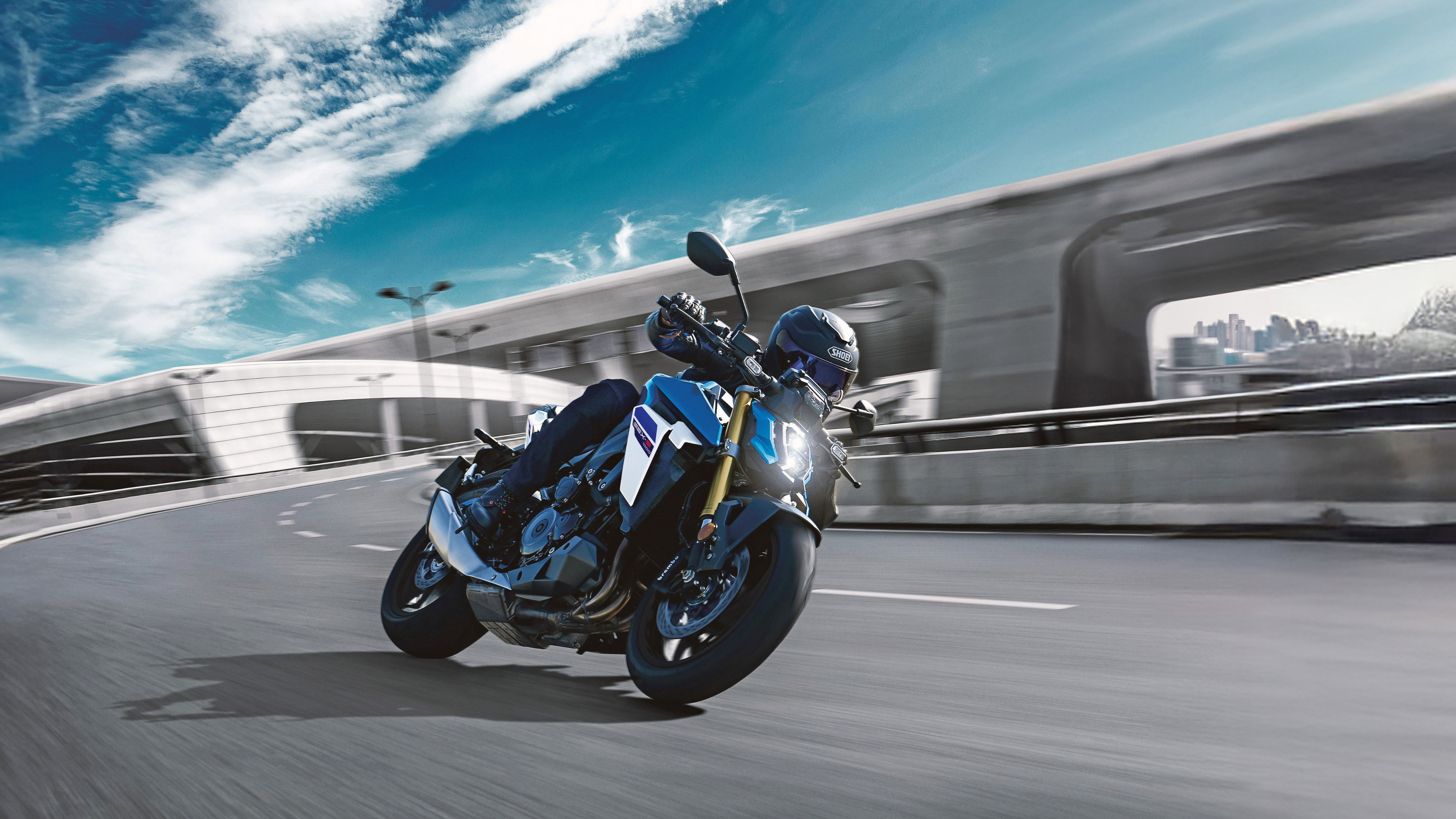 Suzuki GSX-S1000