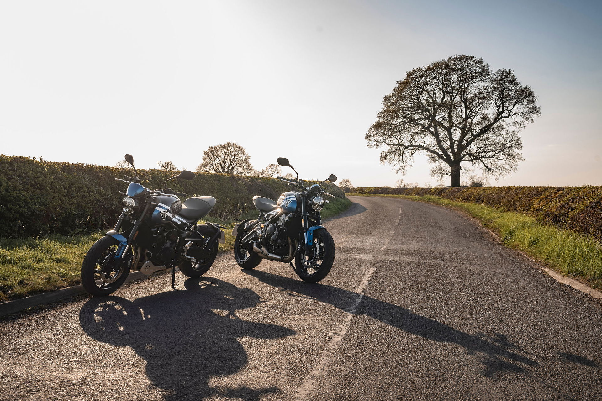 Trident 660 - static