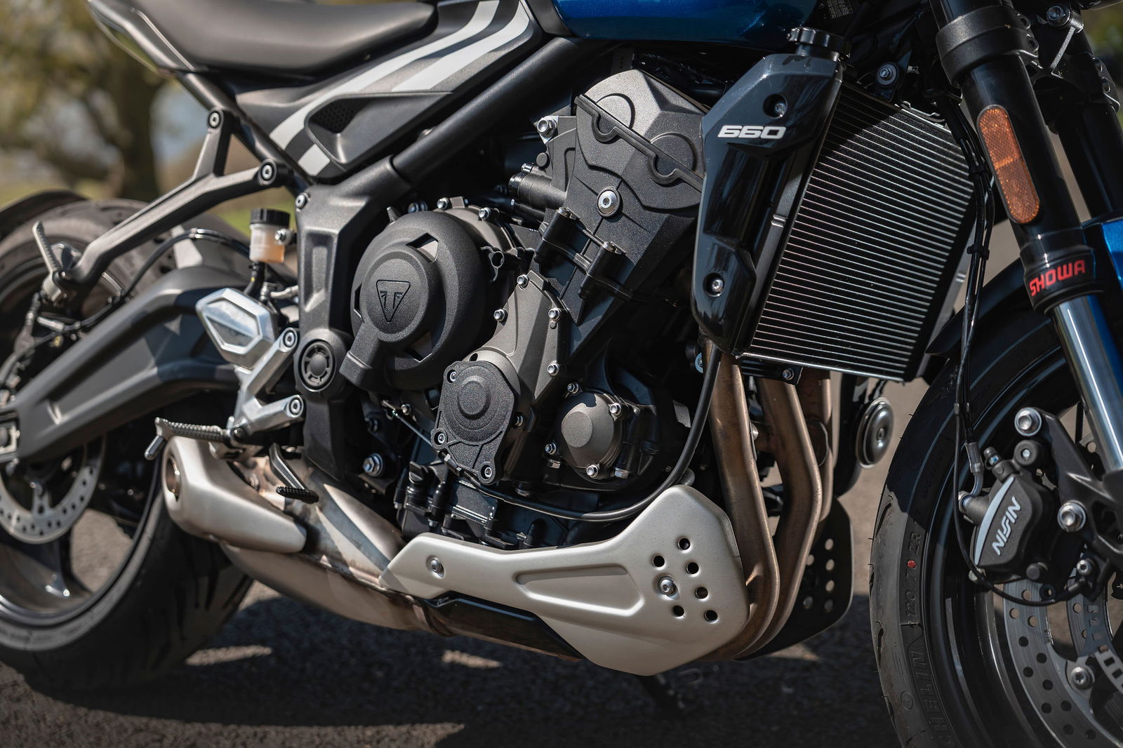 Tiger Sport 660 - detail