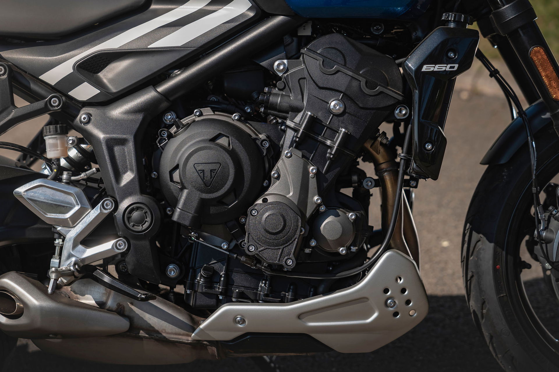 Trident 660 - static