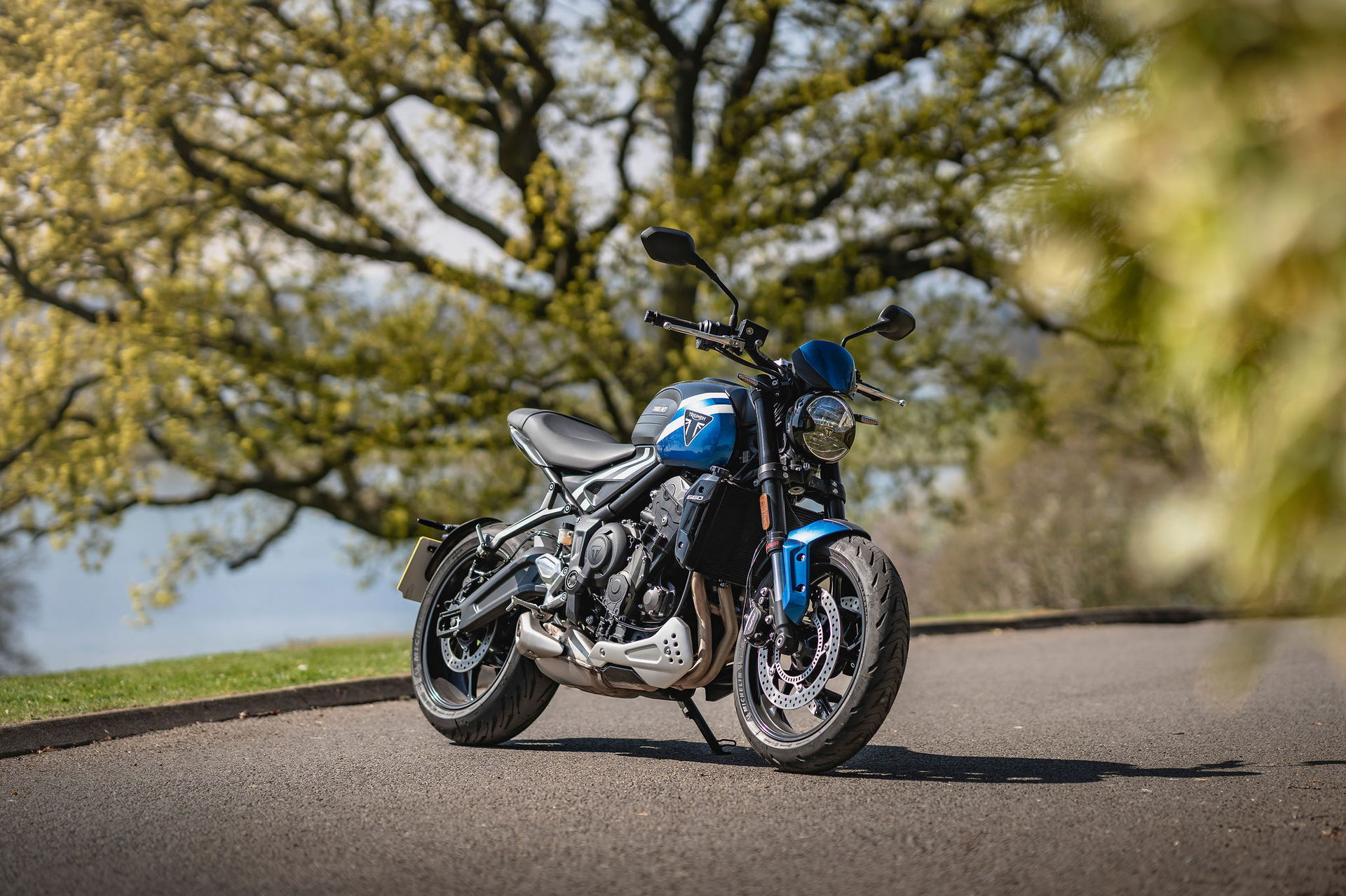 Trident 660 - static