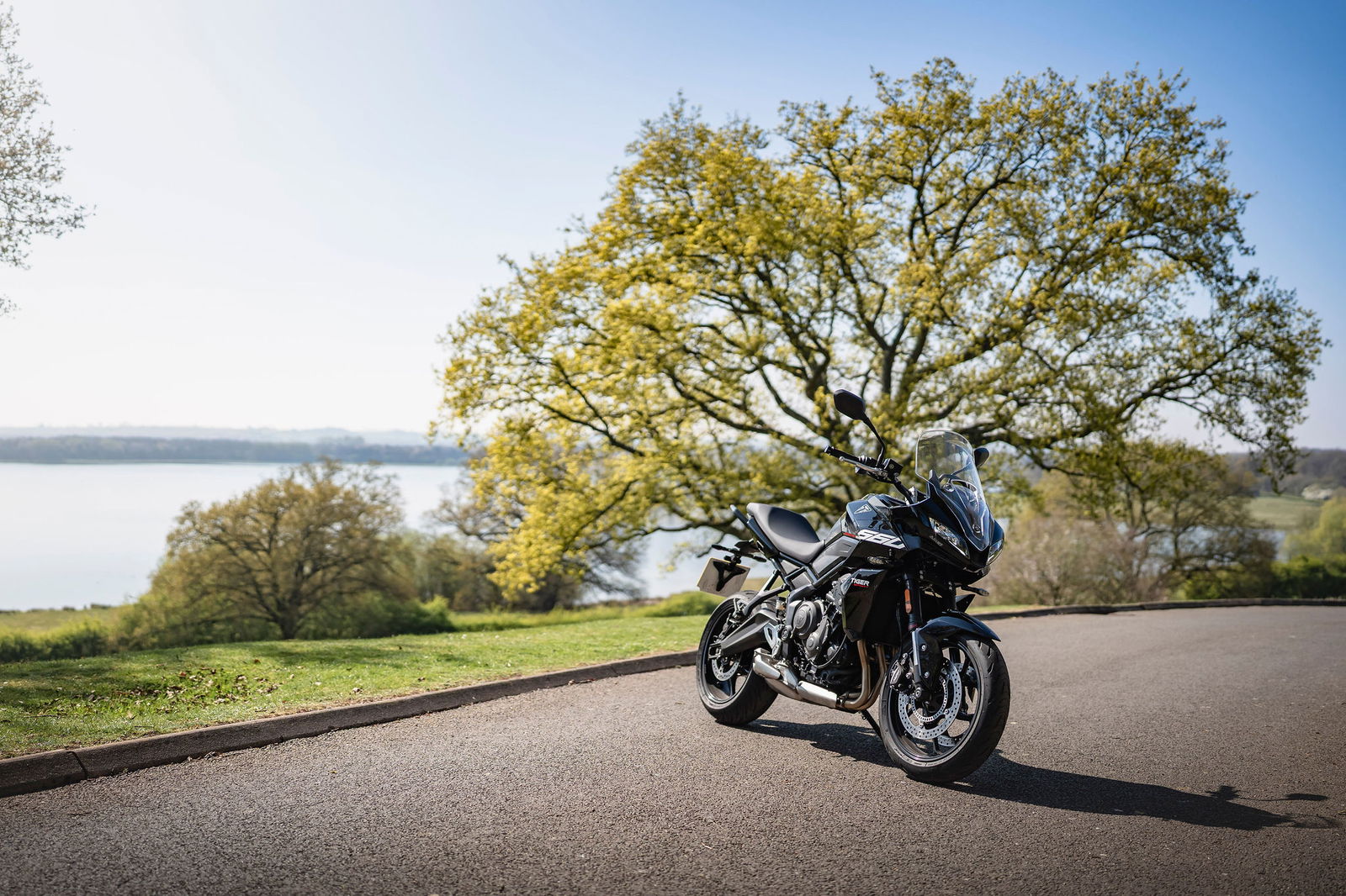 Tiger Sport 660 - static