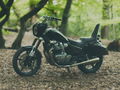 Royal Enfield Collaborates with The Great Frog on Custom Cruiser