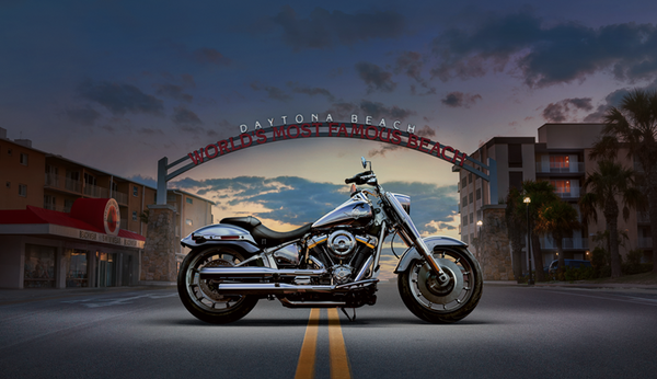 H-D Fat Boy Gray Ghost