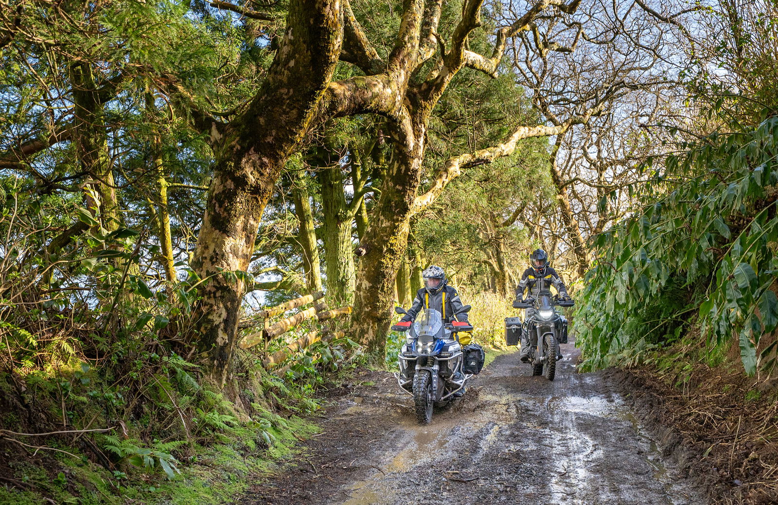 New Charley Boorman Film Goes Live