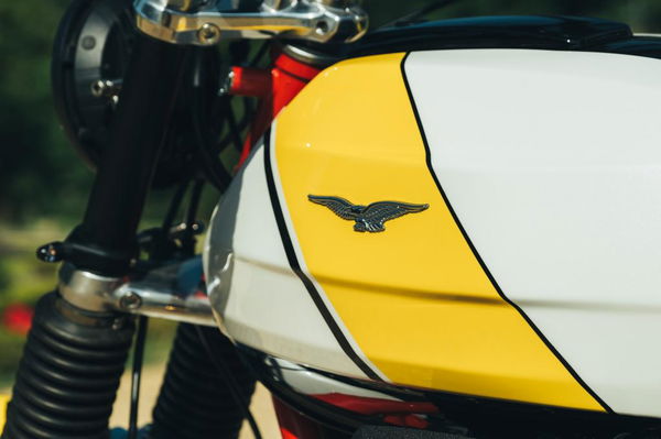 Moto Guzzi Le Mans tank