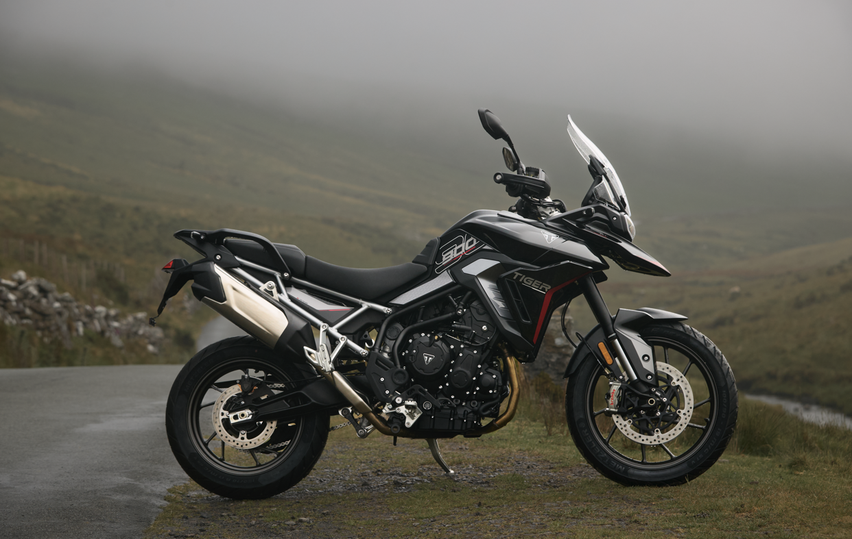 New Tiger 900 colour