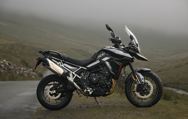 New Tiger 900 colour
