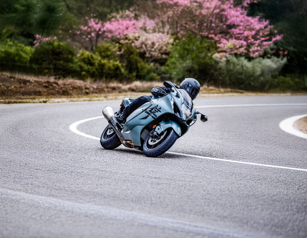 The Suzuki Hayabusa