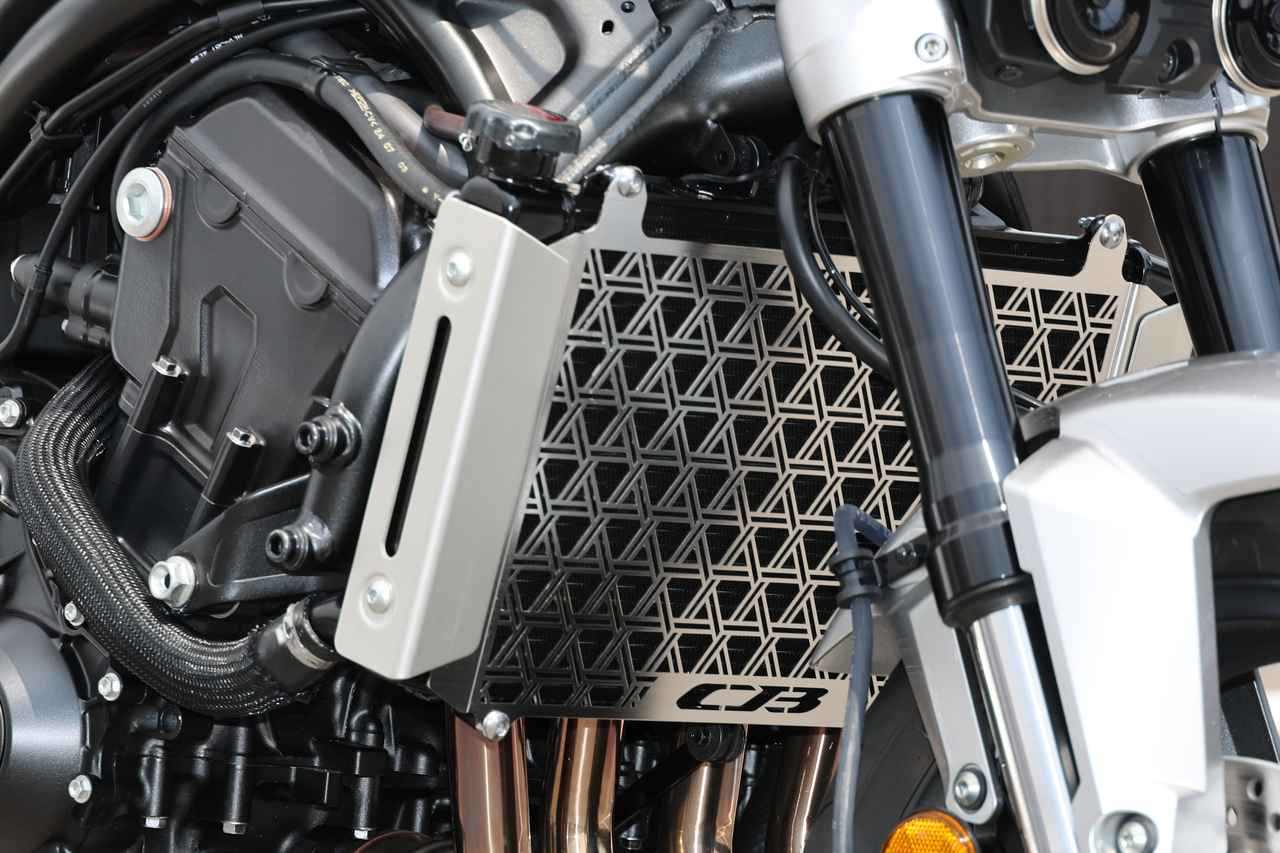 The Honda CB1000F SE Concept - radiator guard
